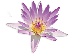 凯发k8官网登录vip入口